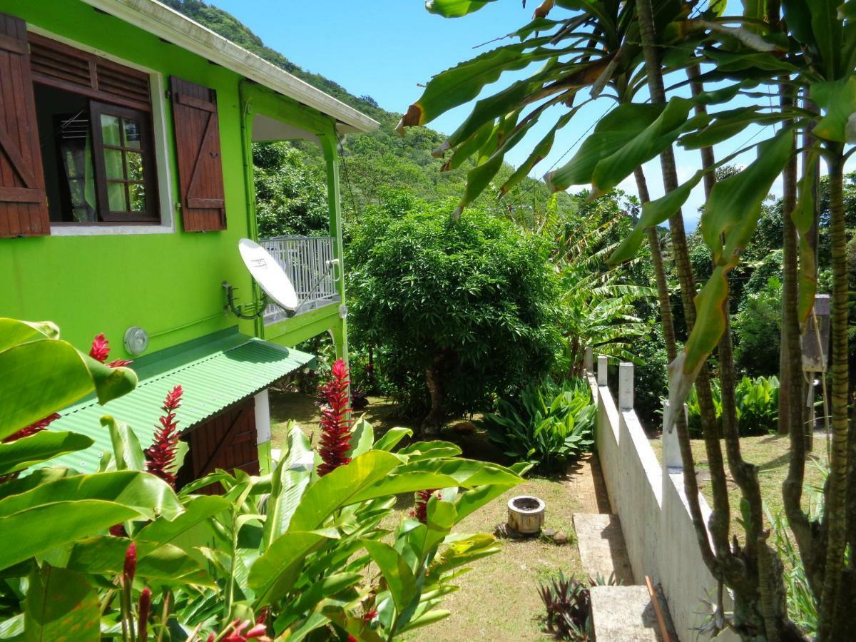 Jardin Bananier Apartamento Deshaies Exterior foto