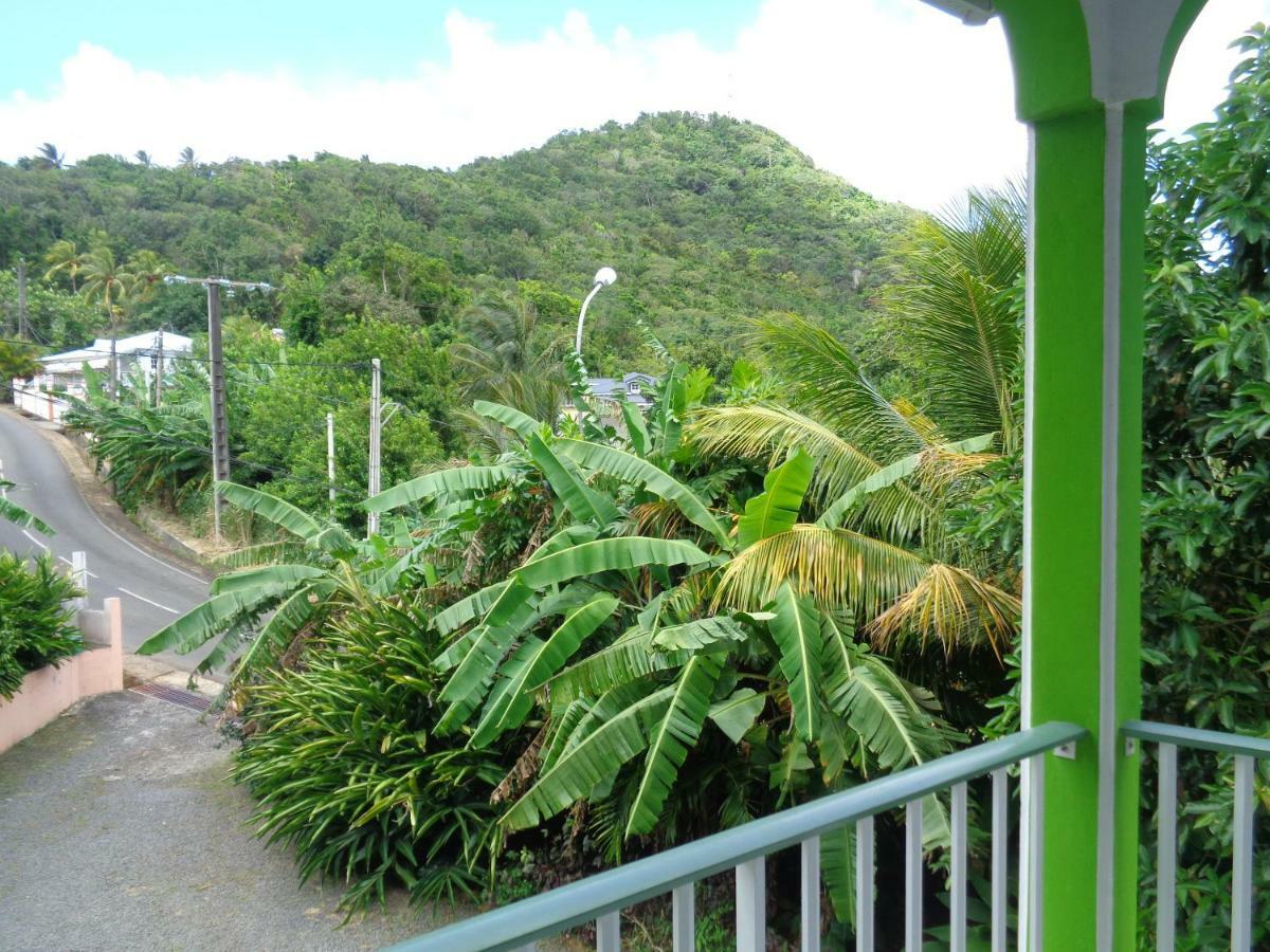 Jardin Bananier Apartamento Deshaies Exterior foto